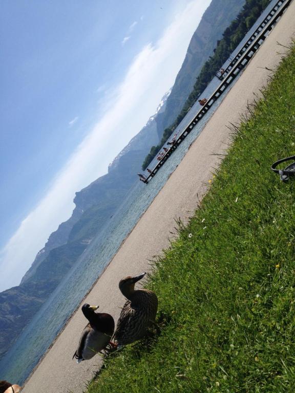 Apartment Parkvilla Traunsee Altmünster Екстериор снимка