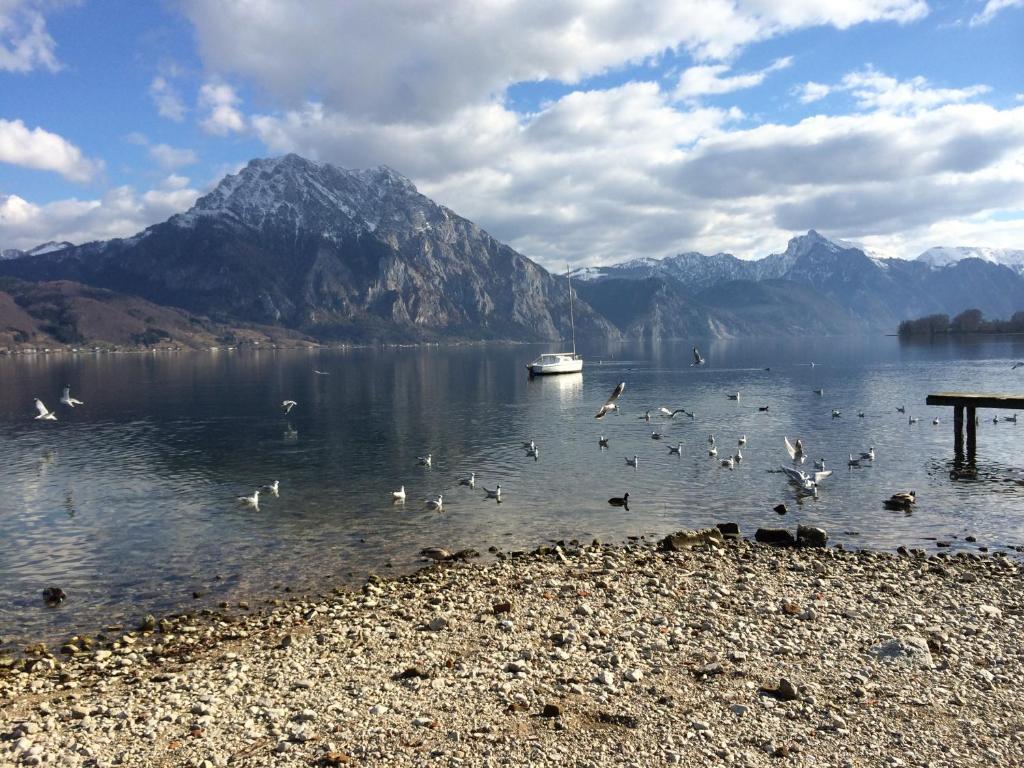 Apartment Parkvilla Traunsee Altmünster Екстериор снимка