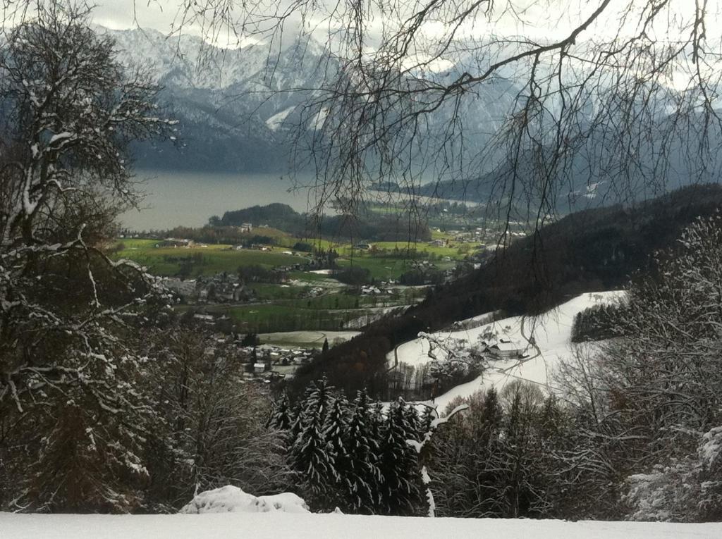 Apartment Parkvilla Traunsee Altmünster Екстериор снимка
